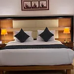 Paradise Home City Stars